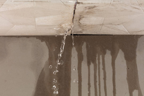 Professional Structural Drying technician working in Inwood, NY